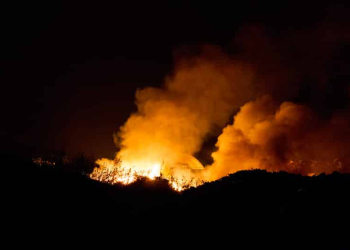Brand Forsbackatippen Xnytt