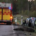 Viltolycka väg 509 Glamsen Xnytt