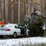 Trafikolycka Skotare Xnytt Arsunda