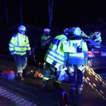 Viltolycka E4 Soderhamn Xnytt