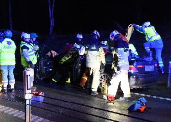 Viltolycka E4 Soderhamn Xnytt
