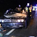Viltolycka E4 Soderhamn Xnytt