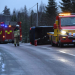 Singelolycka Renskalla Xnytt