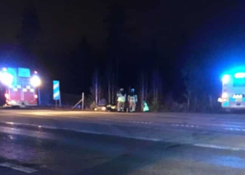 Söderhamn: Viltolycka på E4