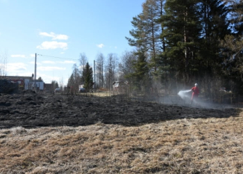 Stråtjära: Gräsbrand i Lövtjära