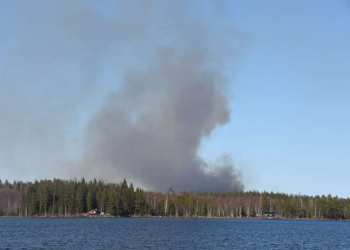 Skogsbrand Enanger Xnytt