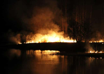 Gävle: Brand på holme