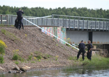 Gavle Xnytt