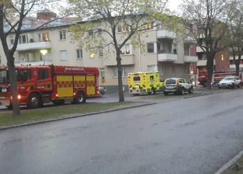 Torrkokning Xnytt