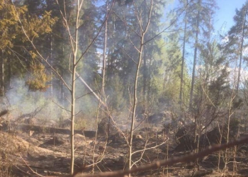 Simeå: Larm om skogsbrand