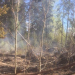 Simeå: Larm om skogsbrand