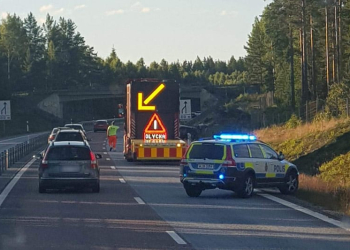 Gävle: Polishund skadad i trafikolycka