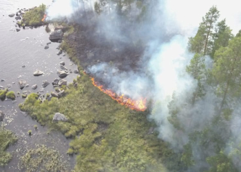 Ockelbo: Skogsbrand vid Stor-Dammsjön