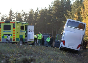 Bussolycka Gavle Xnytt