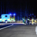 Ljusne: Viltolycka på E4