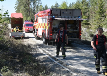 Bergby: Mindre skogsbrand