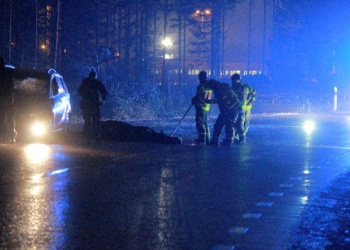Gävle: Viltolycka på väg 509