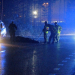 Gävle: Viltolycka på väg 509