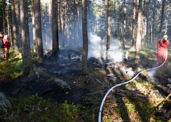 Söderhamn: Mindre skogsbrand vid Björnänge