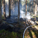 Söderhamn: Mindre skogsbrand vid Björnänge