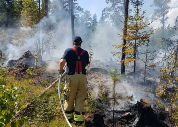 Enånger: Brand i skog och vindskydd
