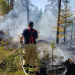 Enånger: Brand i skog och vindskydd