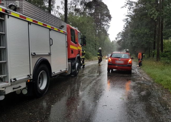 Ljusne: Träd föll över väg
