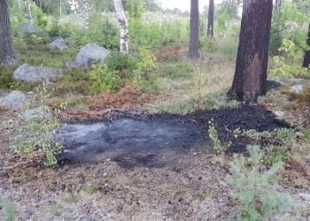 Söderhamn: Mindre markbrand vid Tallvägen