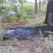 Söderhamn: Mindre markbrand vid Tallvägen