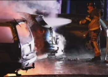 Gävle: 16 bilar skadade i brand