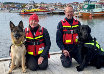 Första sjöräddningshundarna på Norrlandskusten