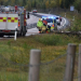 Ljusne: Träd föll över E4