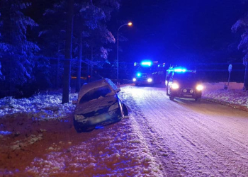 Bergvik: Bil i diket – Föraren sprang från platsen