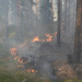 Bergby: Larm om rökpelare visade sig vara skogsbrand