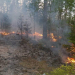 Söderhamn: Mindre skogsbrand bakom Flygstaden