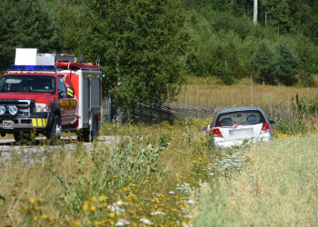 Friggesund: Singelolycka på väg 741