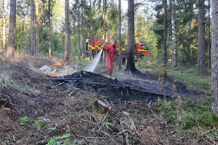Foto: Daniel Sjöholm