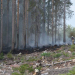 Järvsö: Skogsbrand vid Svartvallsberget