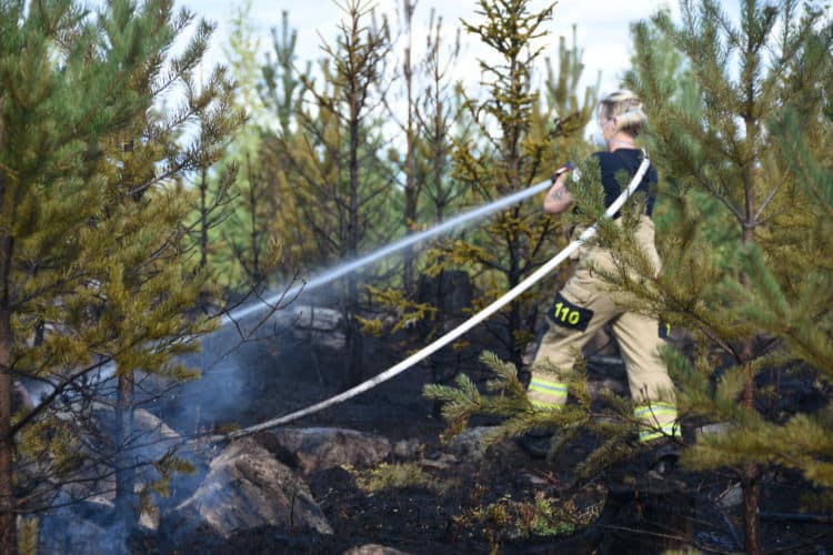 Foto: Daniel Sjöholm