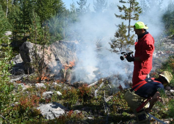 Sandarne: Räddningstjänsten släckte mindre skogsbrand