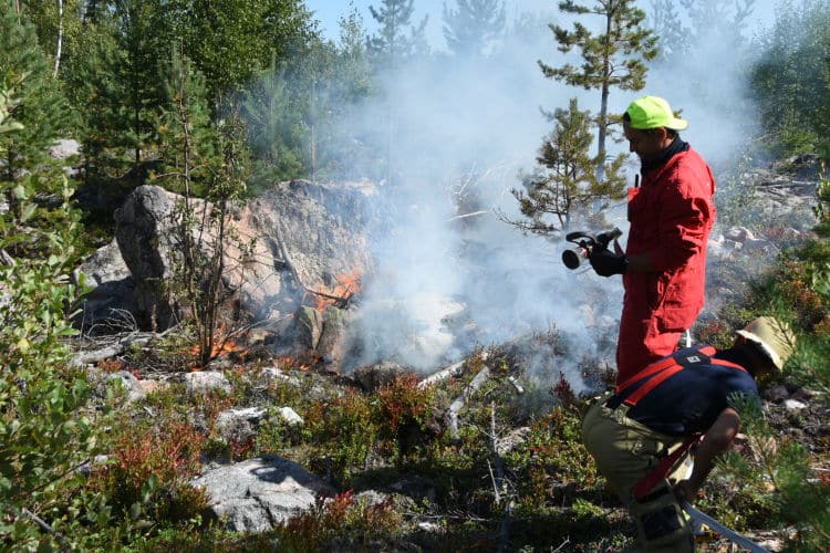 Foto: Daniel Sjöholm