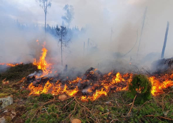 Tönnebro: Skogsbrand öster om Stor-Skärjan