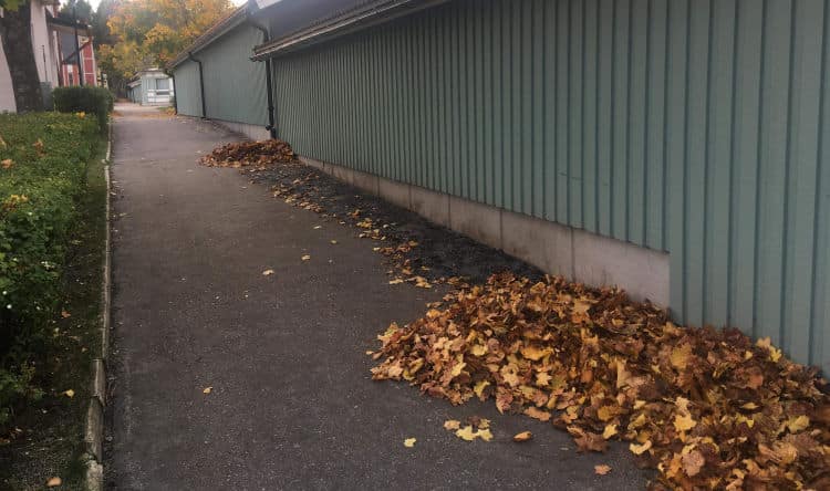 Foto: Per-Anders