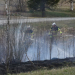 Kilafors: Kortslutning orsakade markbrand