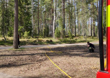 Sandviken: Gräsbrand vid Norrsätra