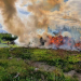 Norrala: Brand i större rishög