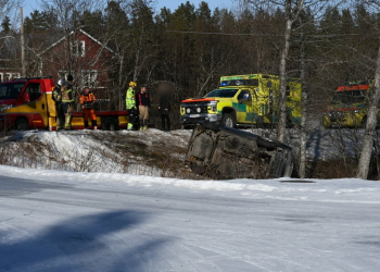 Njutånger: Singelolycka på väg 663