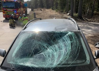 Norrala: Trafikolycka i Borg