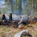 Norrala: Markbrand i Svartvik