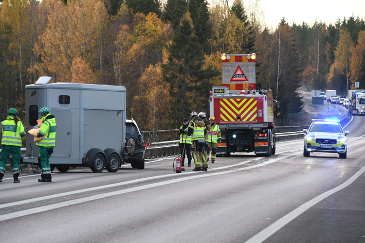 Foto: Daniel Sjöholm